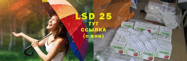 PSILOCYBIN Беломорск