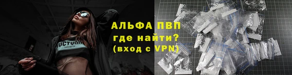 PSILOCYBIN Беломорск
