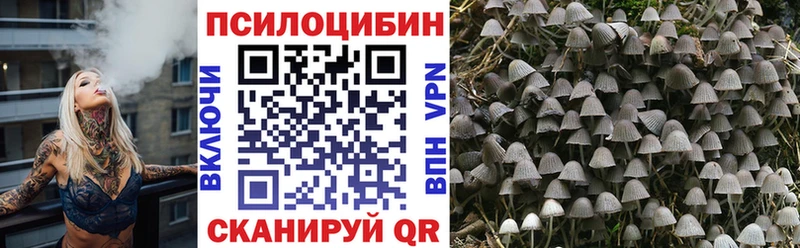 Псилоцибиновые грибы Psilocybe  Севск 